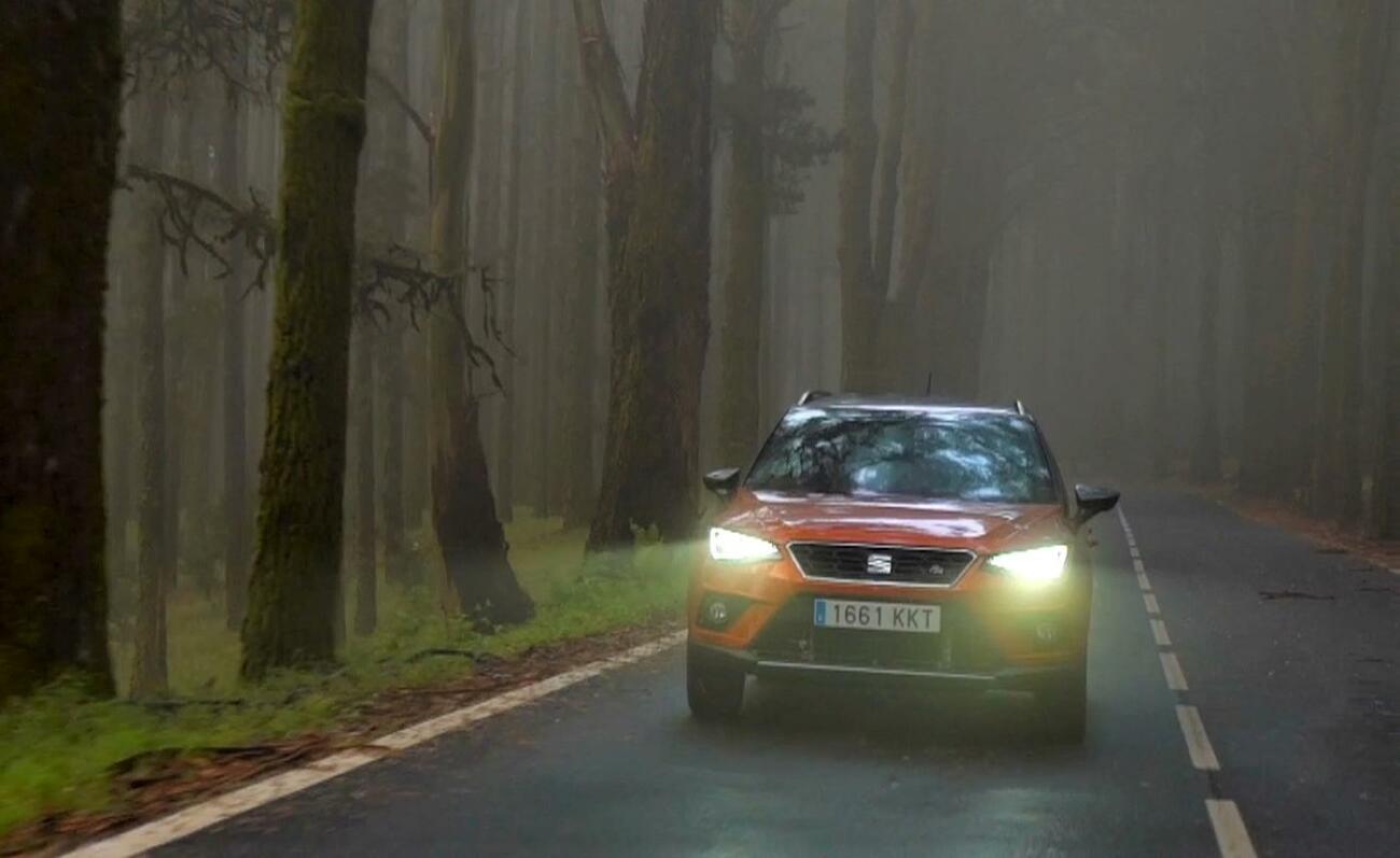 Conducción de un coche en otoño / SEAT