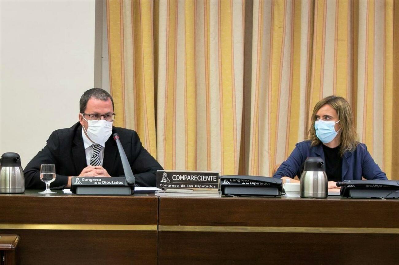 El secretario de Industria, Raül Blanco, en el Congreso