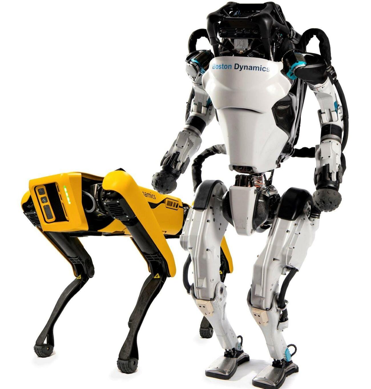 Robots de Boston Dynamics Robots de Boston Dynamics
