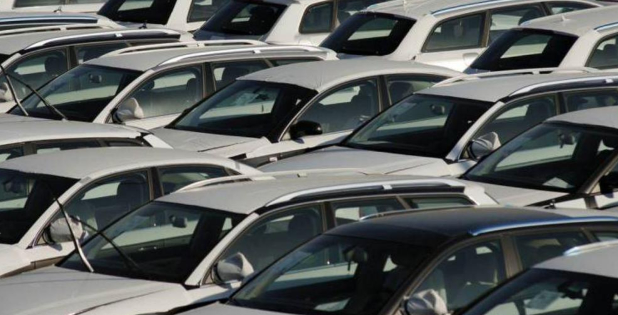 Coches listos para la venta en una campa de vehículos Coches listos para la venta en una campa de vehículos