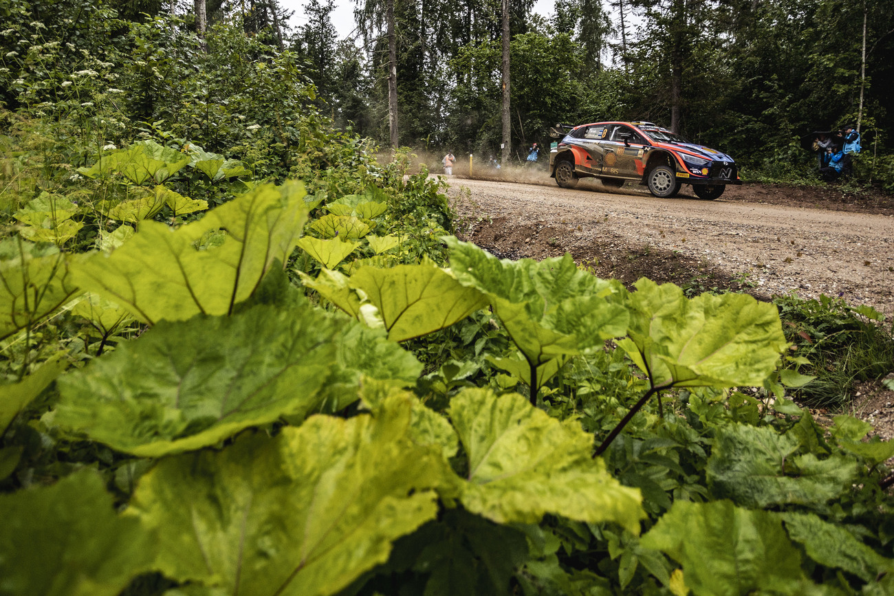 Tänak en el inicio el Rally de Estonia / NIKOS KATIKIS / EUROPA PRESS