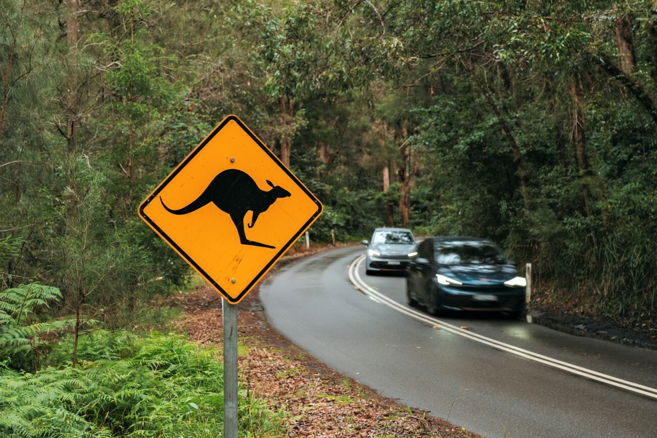 Cupra Born circula por Australia