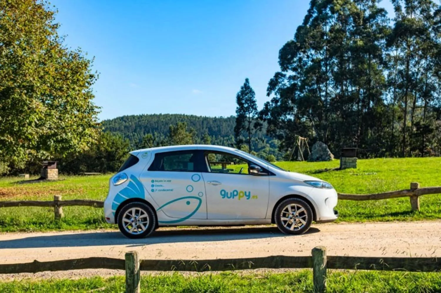 Coche de carsharing de guppy