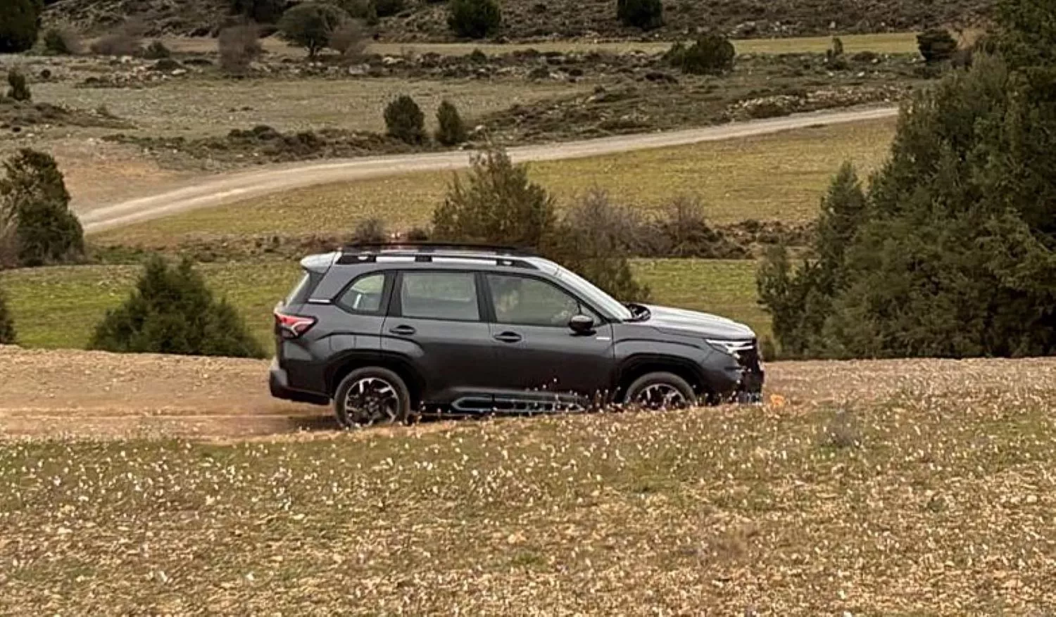 Nuevo Subaru Forester / A.M. Nuevo Subaru Forester / A.M.