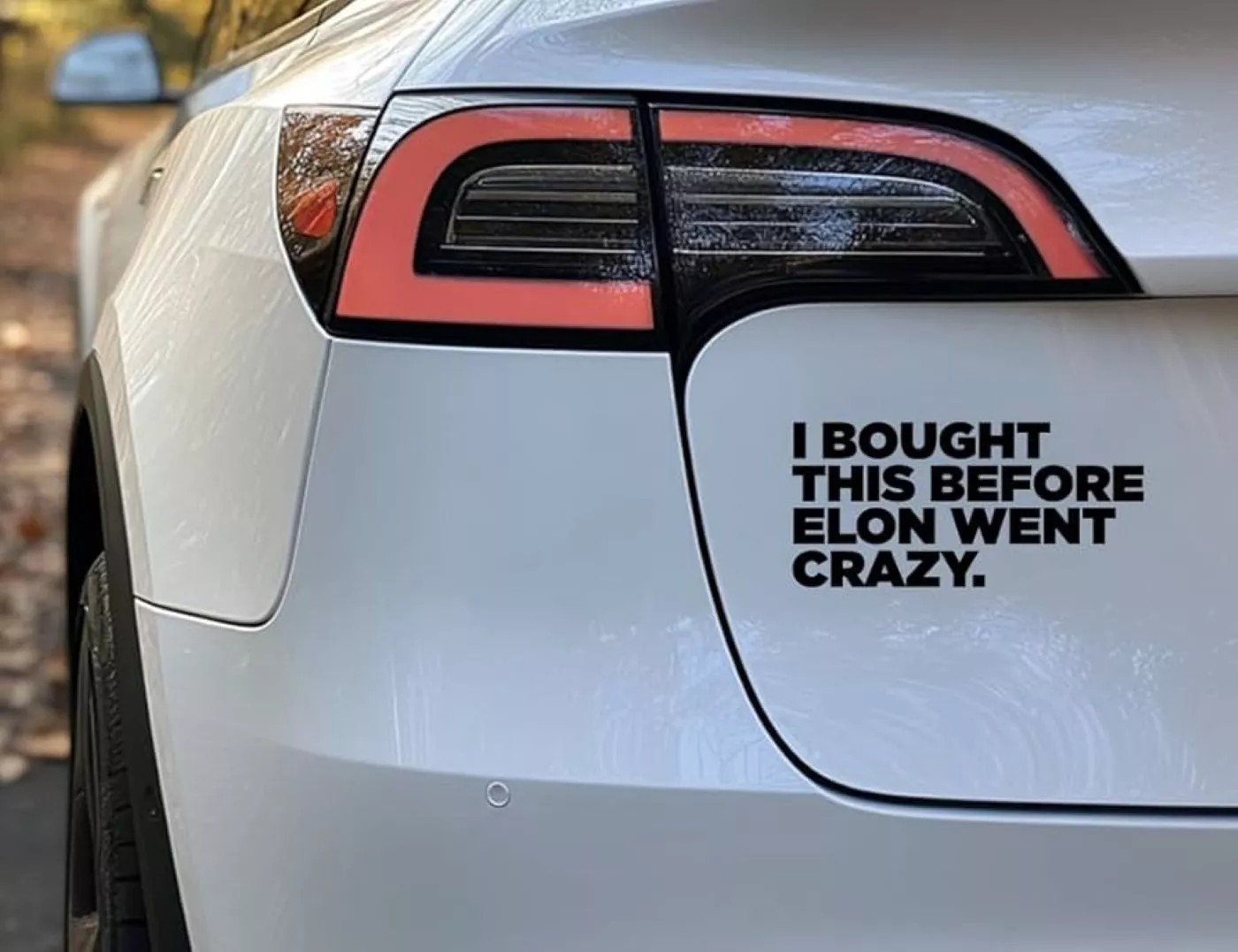 Pegatina contra Elon Musk de un conductor de Tesla Pegatina contra Elon Musk de un conductor de Tesla