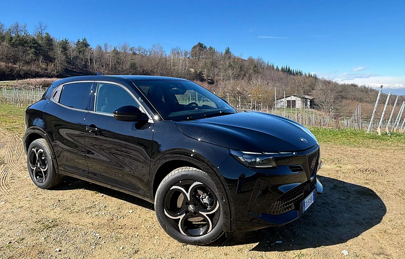 Alfa Romeo Junio Q4 / A.M.