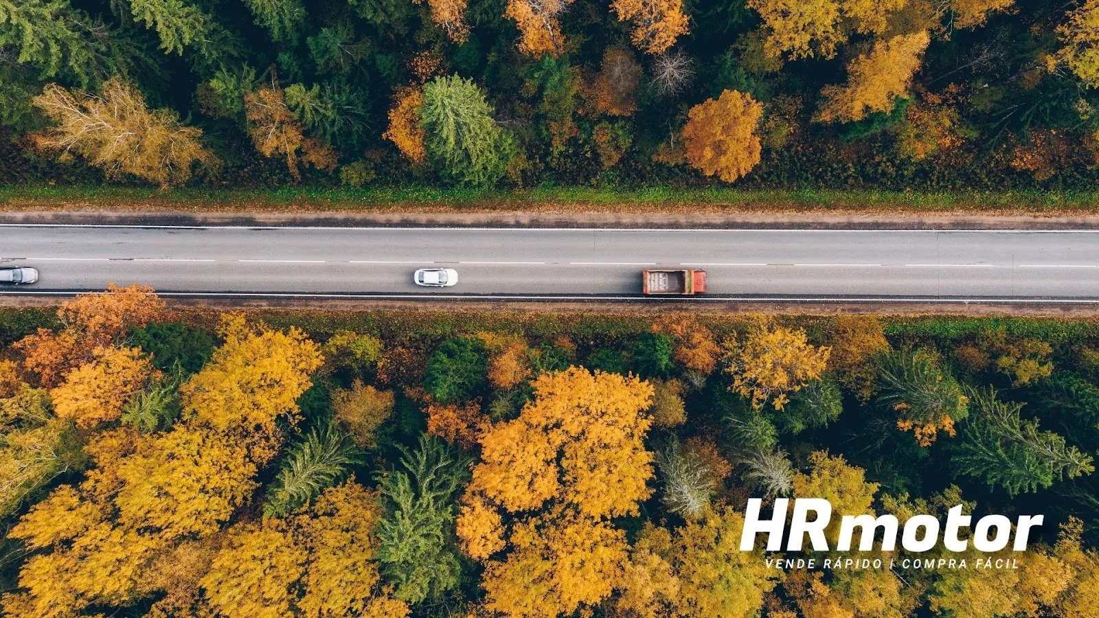 Vehículos circulando por una carretera