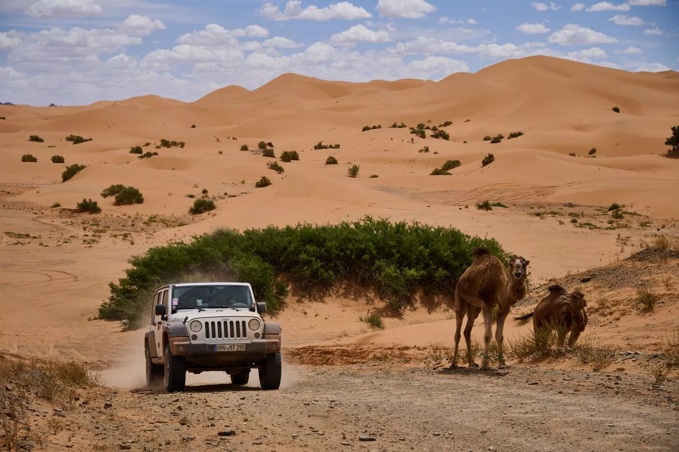 Un momento de la Maroc Challenge Spring 2025