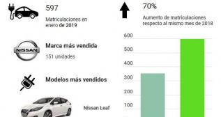 Ventas eléctricos enero 2019