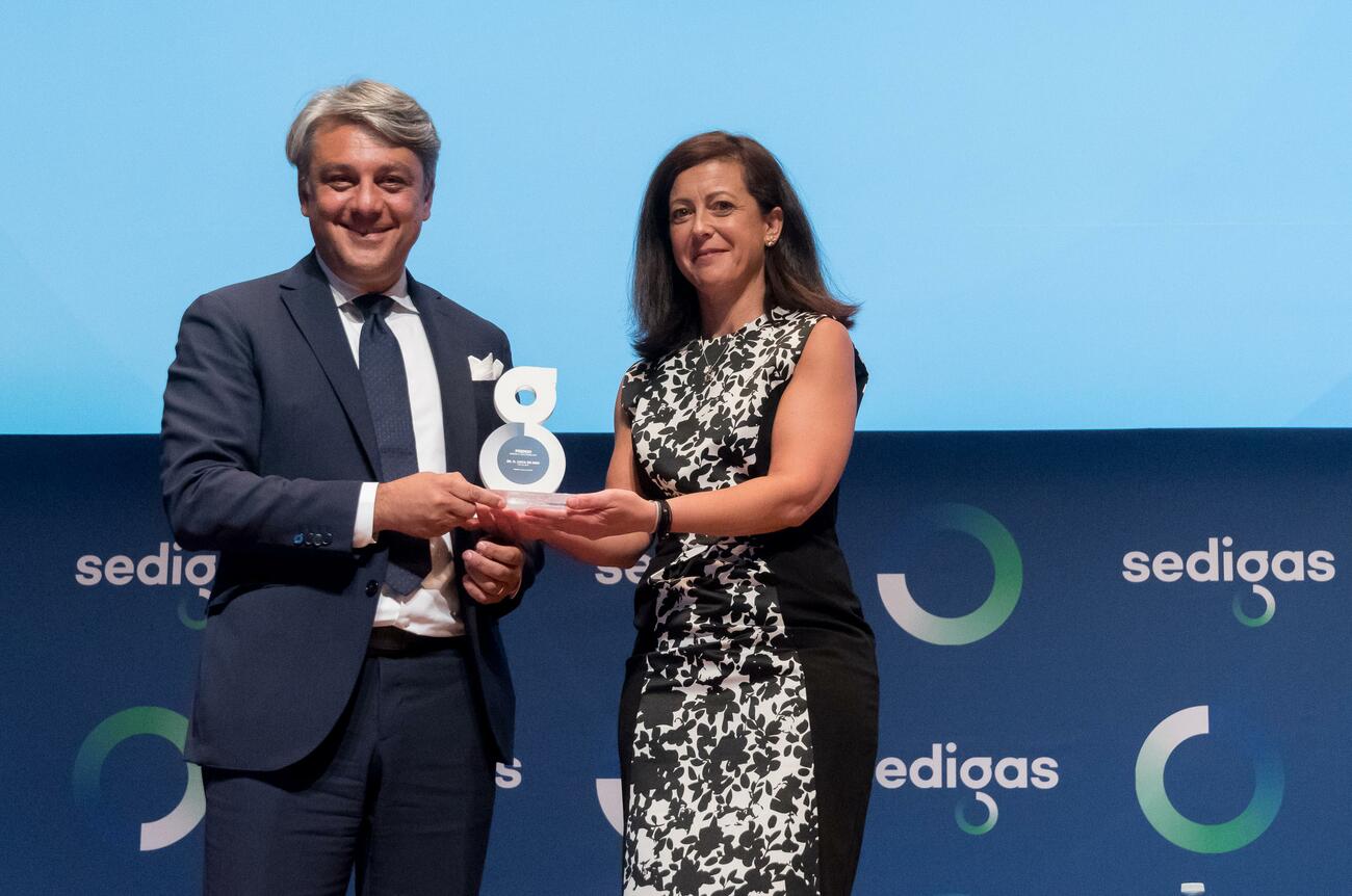 El presidente de Seat, Luca de Meo, recibe el premio Energía y Sostenibilidad.