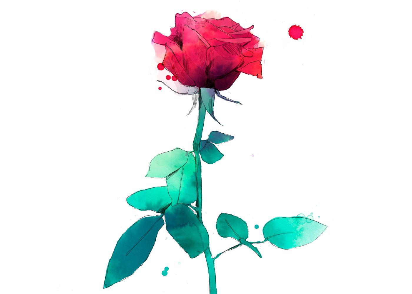 hasta ahora Además Acelerar Cómo regalar una rosa virtual única en Sant Jordi