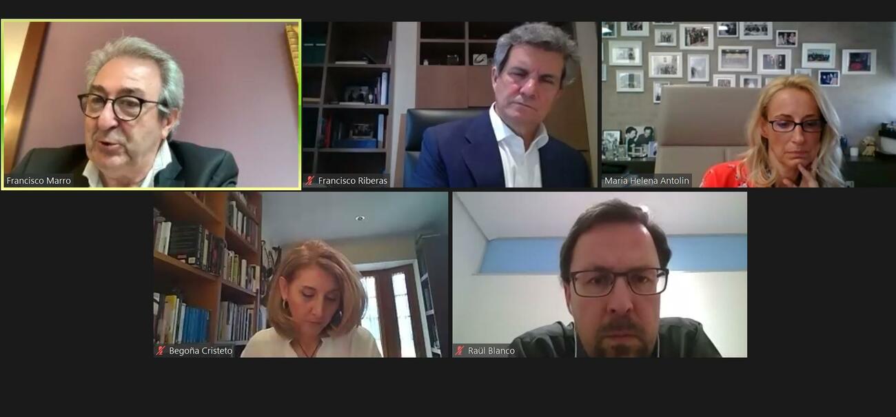 Reunión virtual de Sernauto